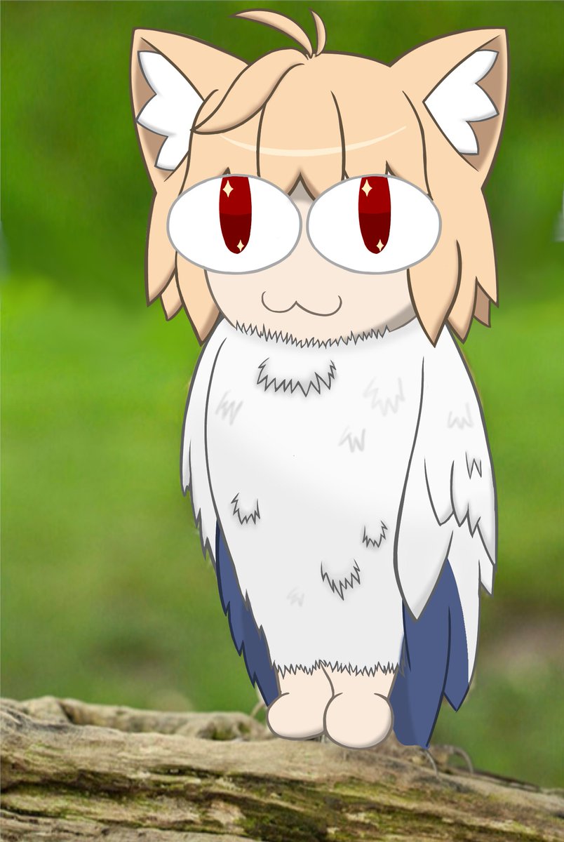 funny cat ⓛωⓛ (@necoarc_fan) / Posts / X