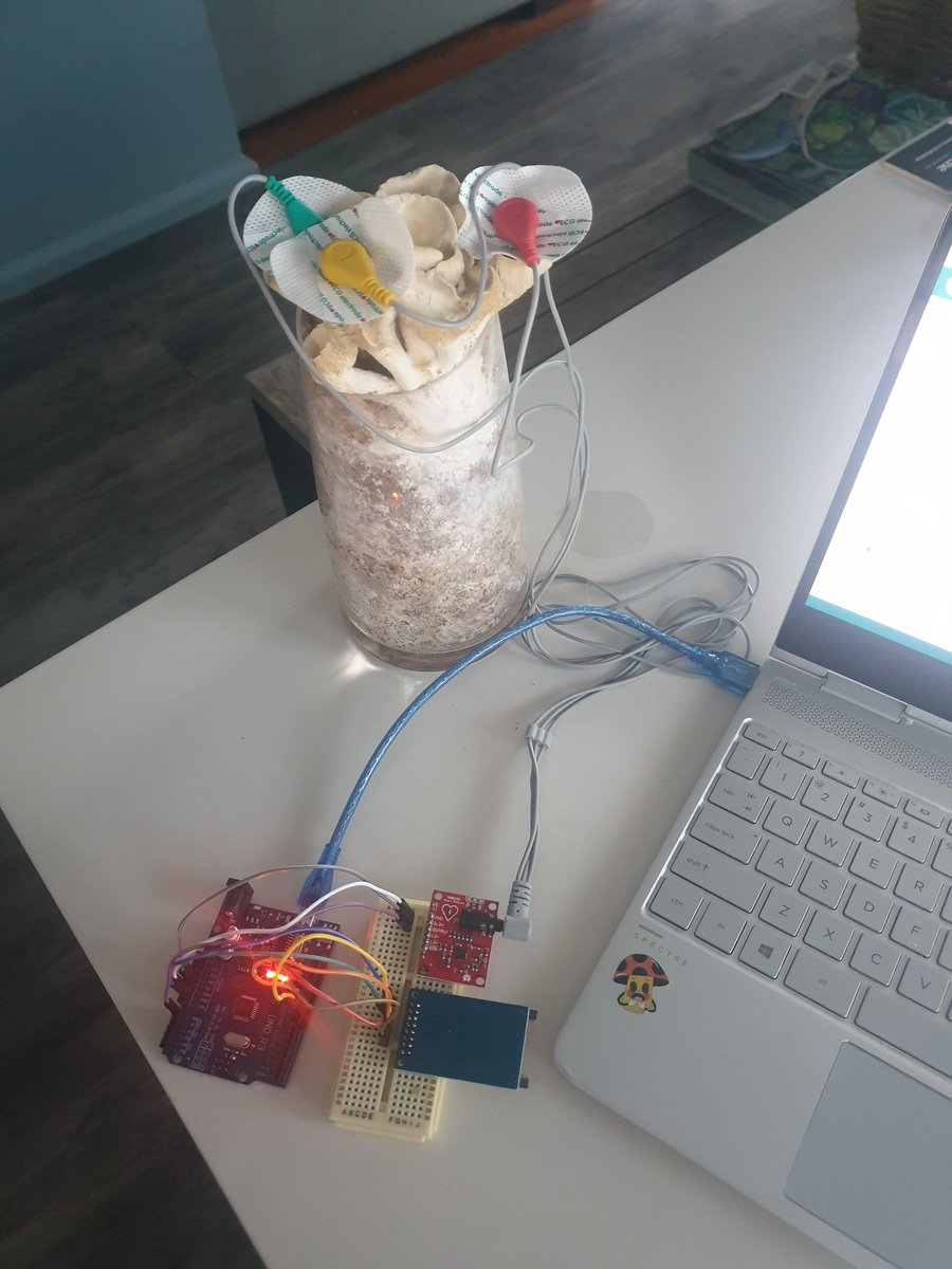 spore_points's tweet photo. The next step is to take setup out into the forest to capture signals from wild fungi https://t.co/Ss6dmD9cNL