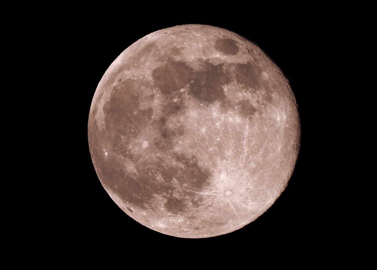 Nigey`s Wild Walks tweet media