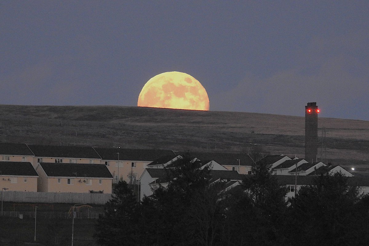 Nigey`s Wild Walks tweet media