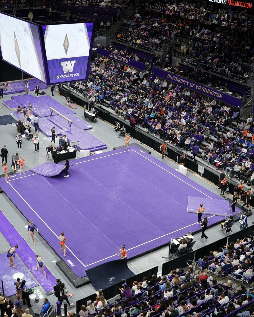 Washington Gymnastics tweet media