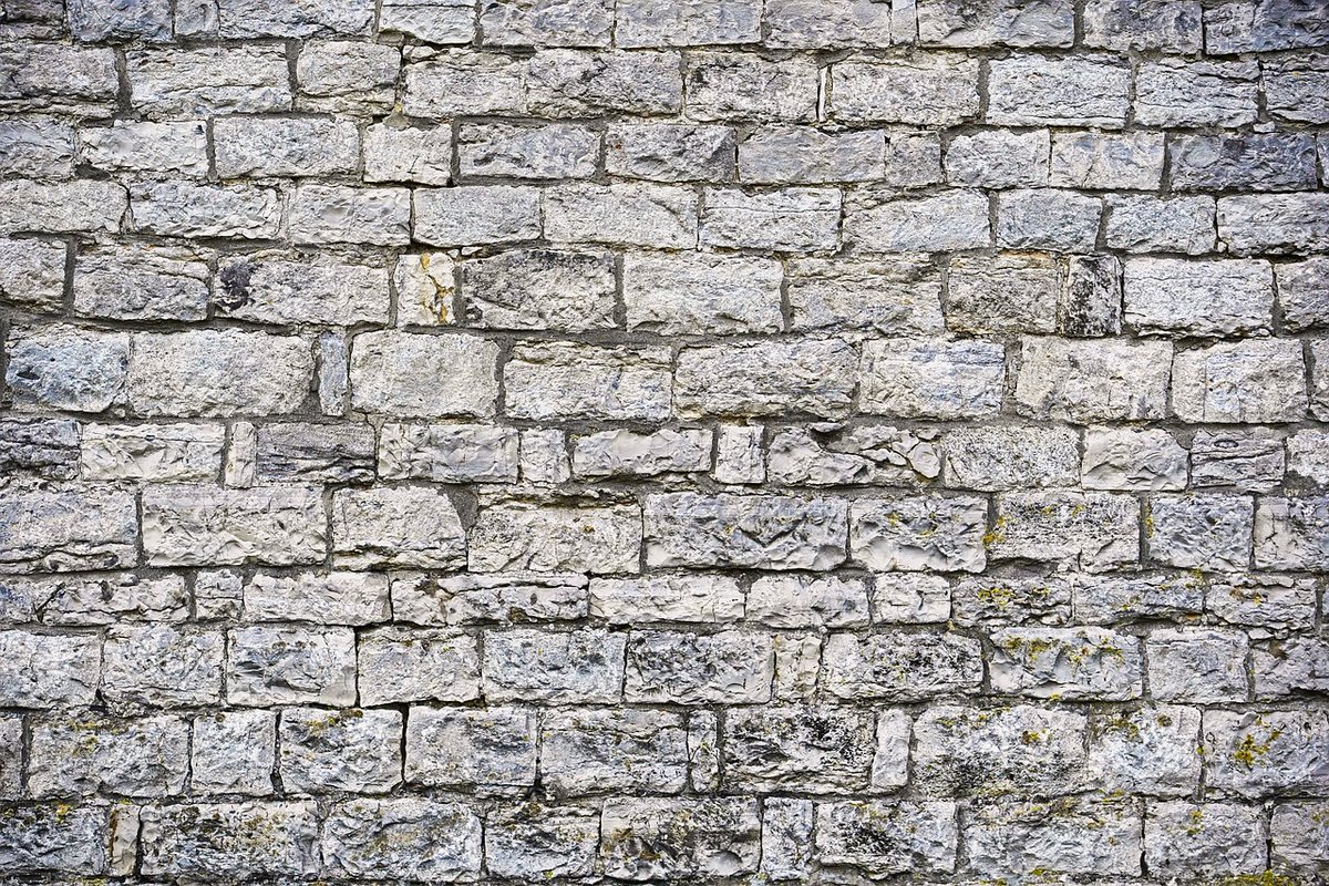 RealityDesignz's tweet image. Pigs are highly adaptable and can live in various environments, from farms to the wild 🐖🌳