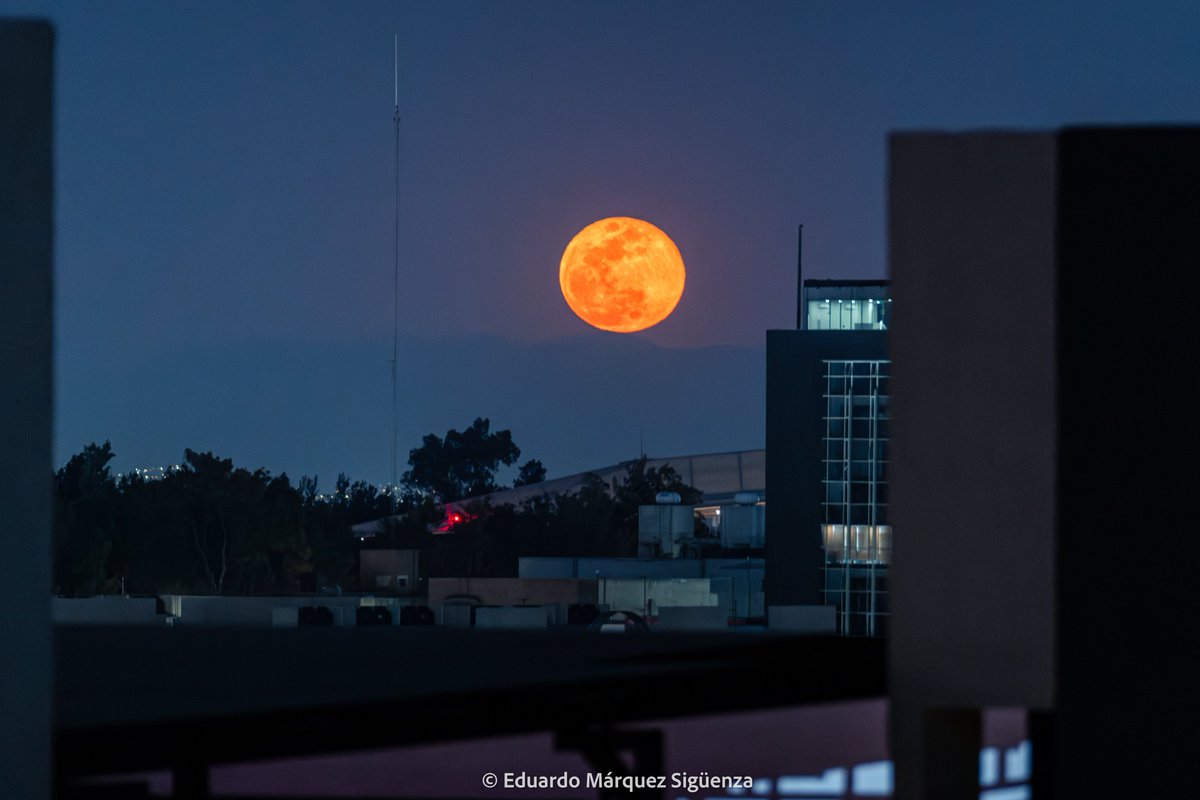 Espectáculo natural: así se ve la primer súper luna llena del año 2026 esta noche, vista desde la Ciudad de México. 📸🌕

#lunallena #cdmx #nikon #jems 
<a href="/webcamsdemexico/">Webcams de México</a> 
<a href="/warkentin/">Gabriela Warkentin</a>