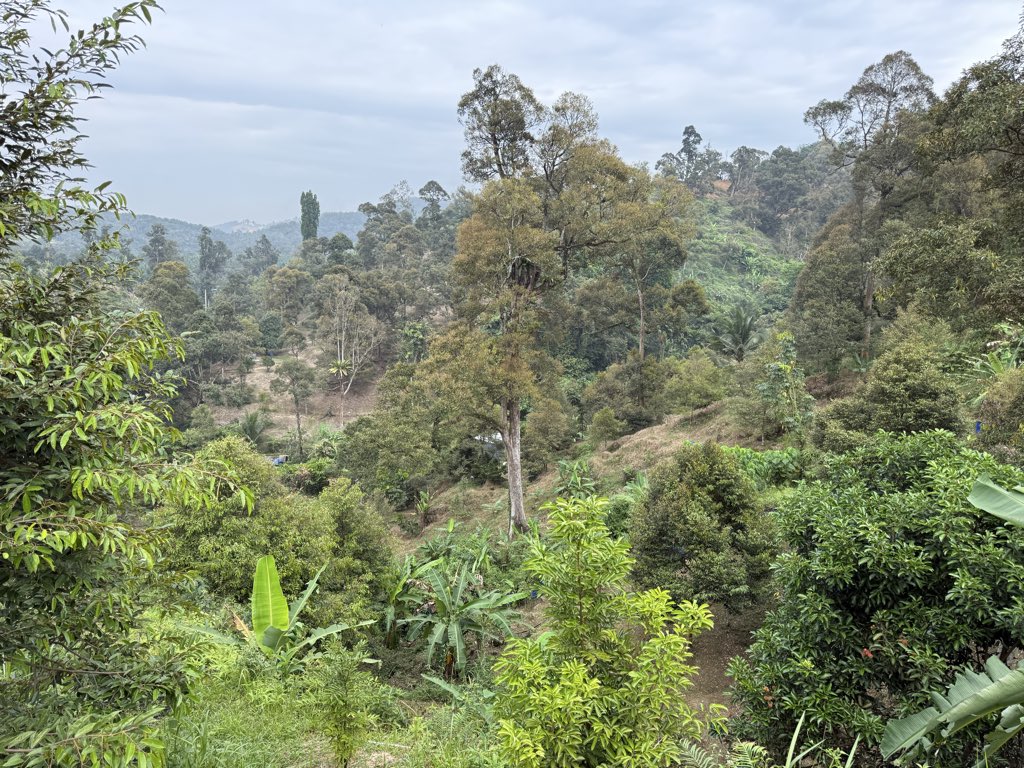 ttben (@ttben7) on Twitter photo 