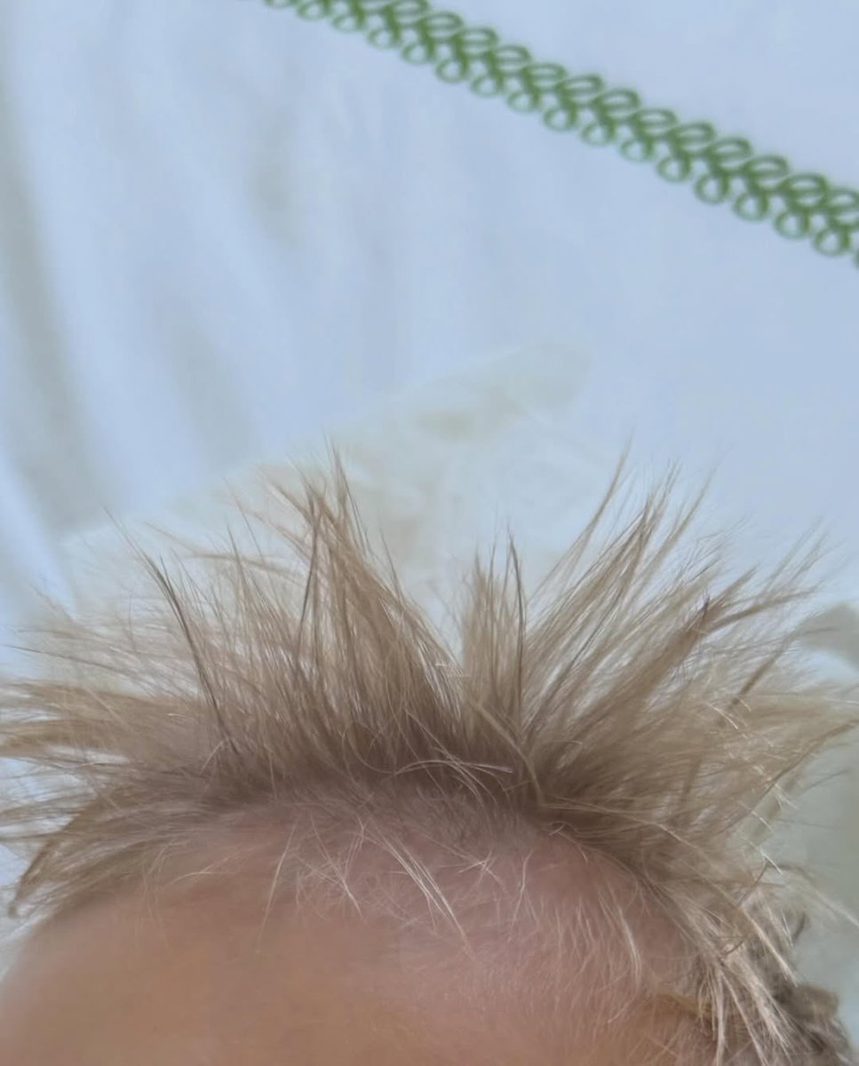 📲| Hailey Bieber vía Instagram.