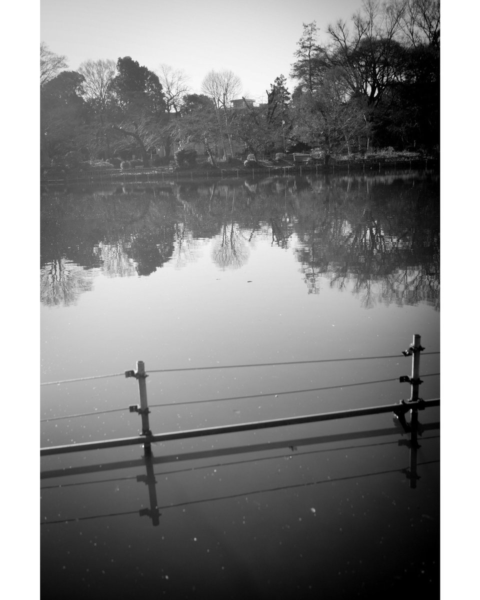 joe_hit's tweet image. Songs of today’s run 

THE GO-BETWEENS / Spring Rain

Australian Truetone Records release

今日は少し長めに井の頭公園までラン

#songsoftodaysrun #indiepop #postpunk #neoacoustic #thegobetweens