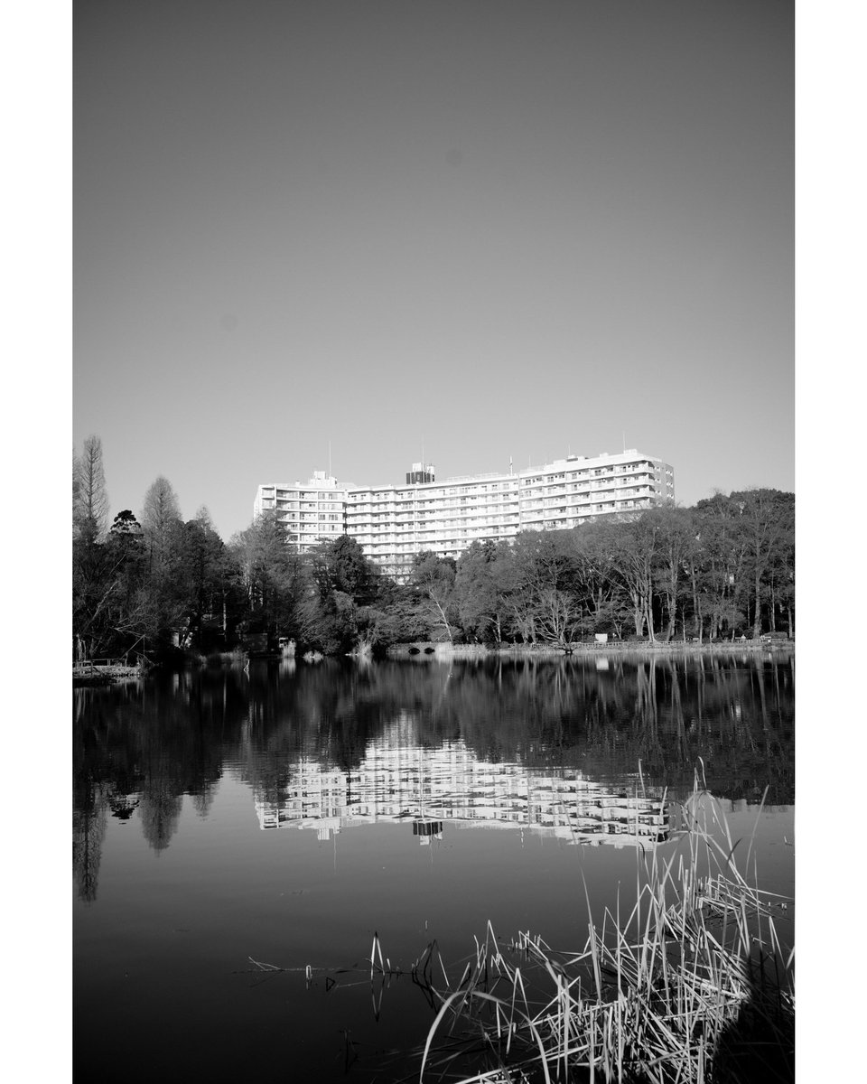 joe_hit's tweet image. Songs of today’s run 

THE GO-BETWEENS / Spring Rain

Australian Truetone Records release

今日は少し長めに井の頭公園までラン

#songsoftodaysrun #indiepop #postpunk #neoacoustic #thegobetweens