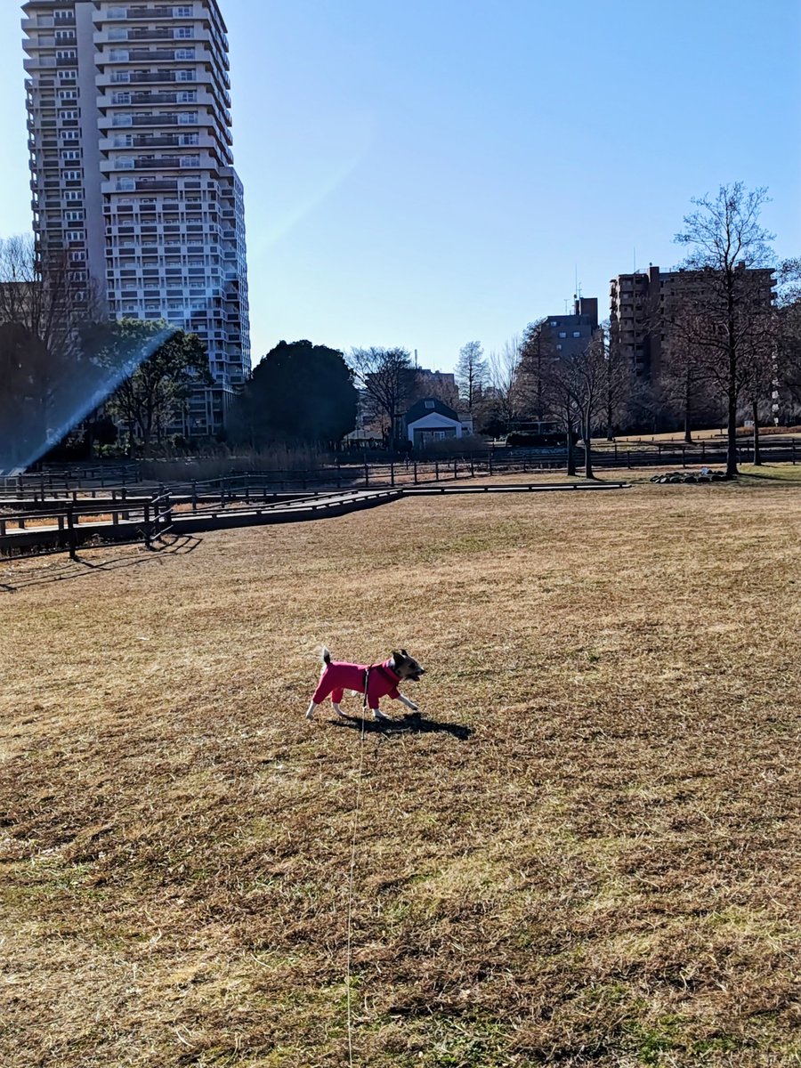 疾走逆光なつ
#JRT