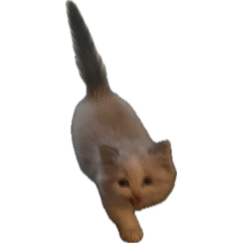 just won my first settlement war on ashes of creation