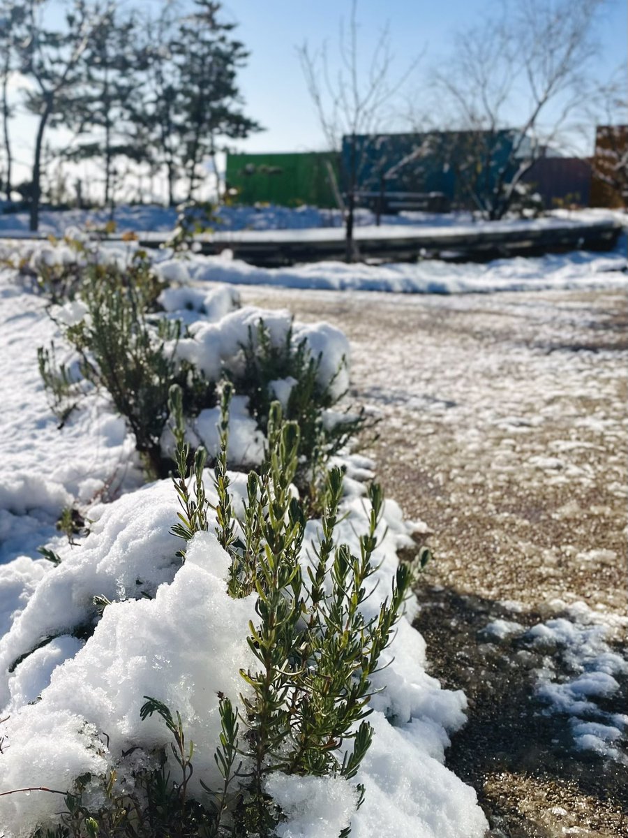 SimoseMuseum's tweet image. 