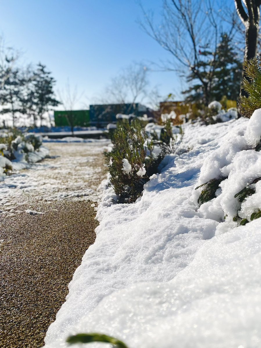 SimoseMuseum's tweet image. 