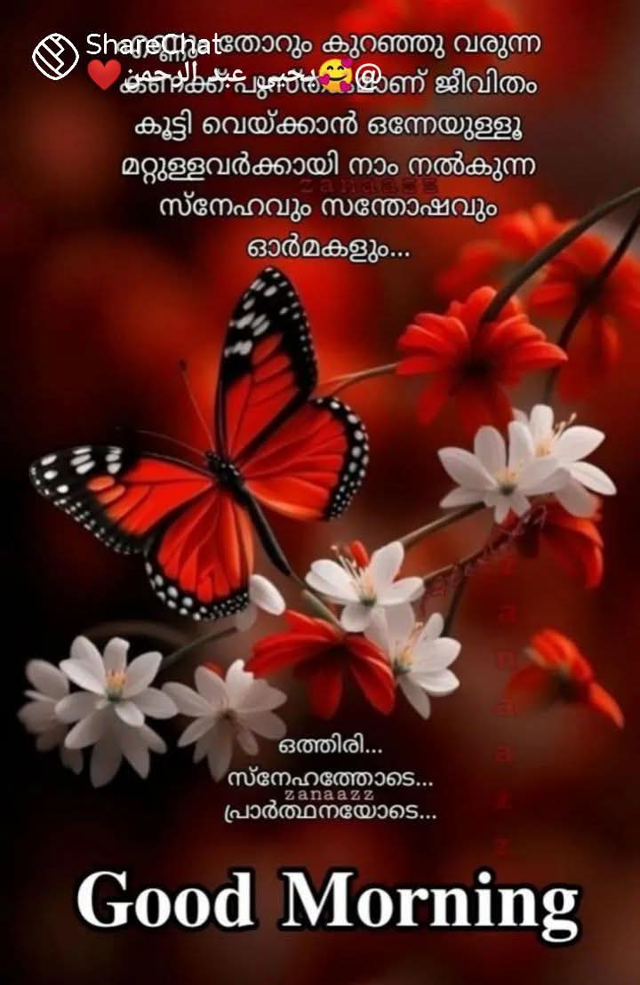 എന്റെ ഗുഡ് മോർണിംഗ്