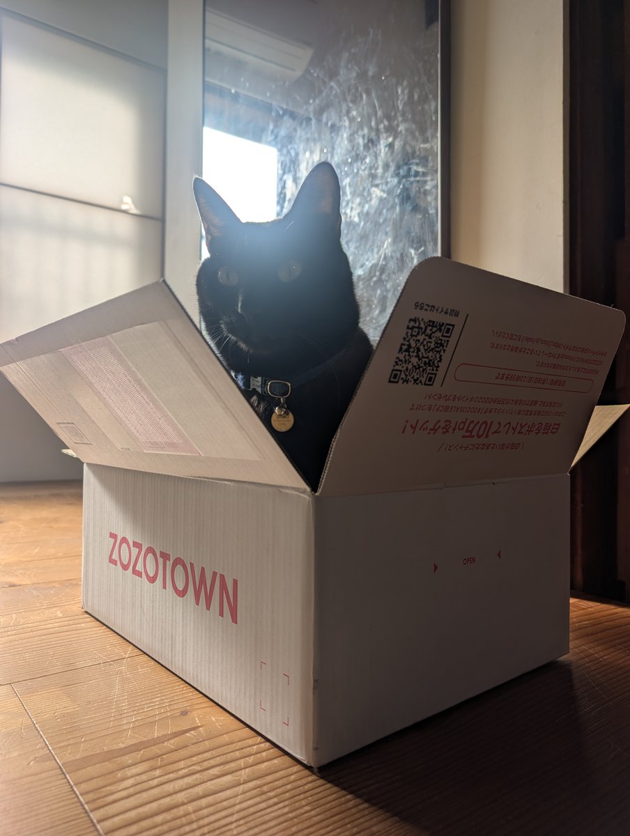 Saimmm's tweet image. #ZOZOSALE箱CP 大人のおとしだまください