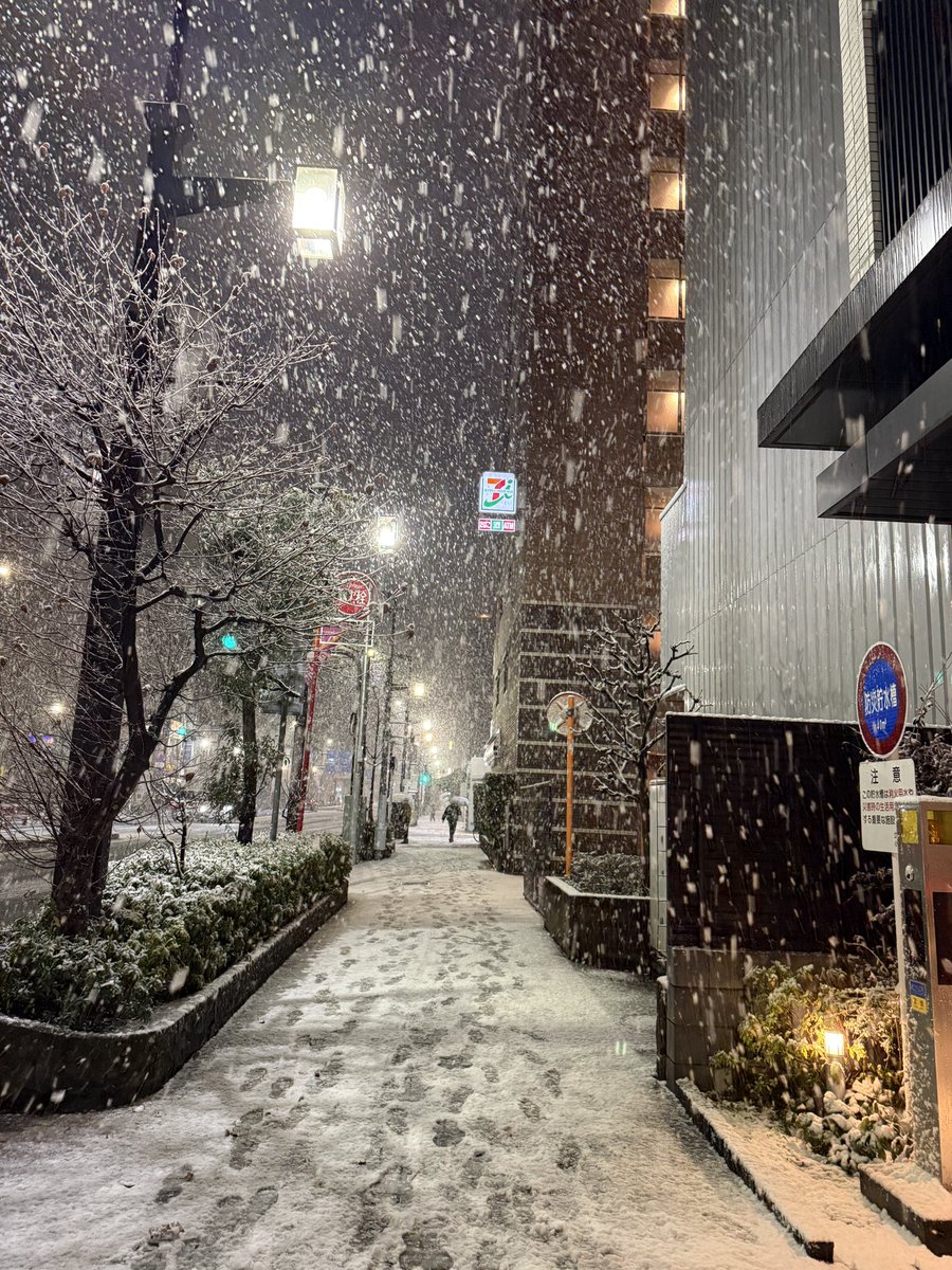 gan0702289's tweet photo. 2026东京初雪❄️ https://t.co/Dg7WjyRjso