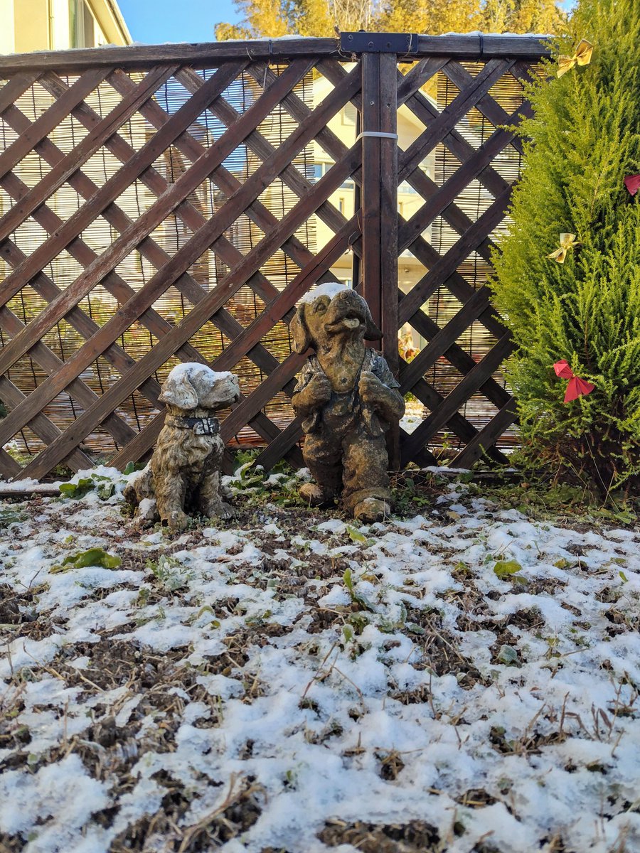 there836's tweet image. 37 #january #morning