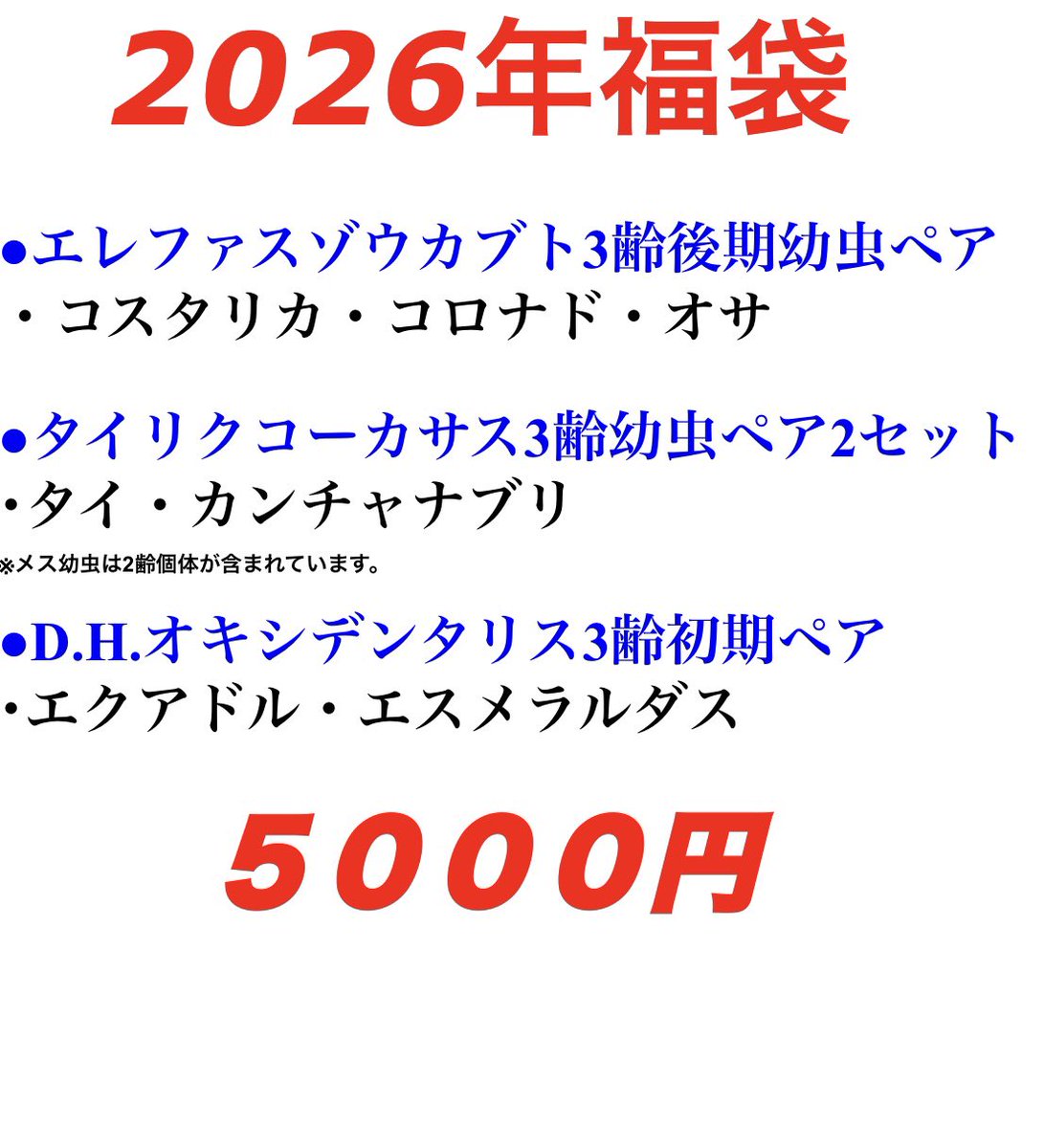 シルバーカブトぱいせん tweet media