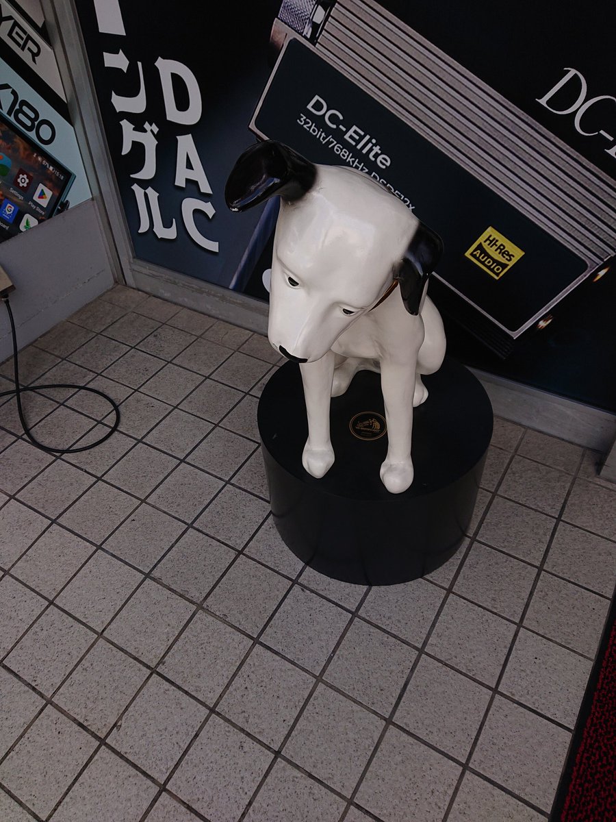 shige (@skyangel787) / Posts / X