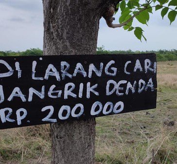 soobiwuv's tweet image. Selamat 3 tahunan txt mandalika dan foto legend yeonjun di bawah tulisan dilarang cari jangkrik🍃

please kemari lagi😔