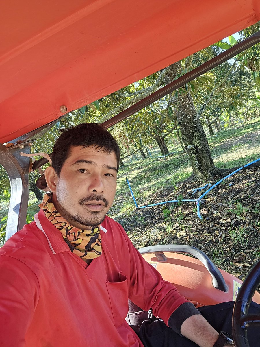 รดน้ำทุเรียนกันดีกว่า💦💦💦
#แกลง #วังจันทร์ #ระยอง