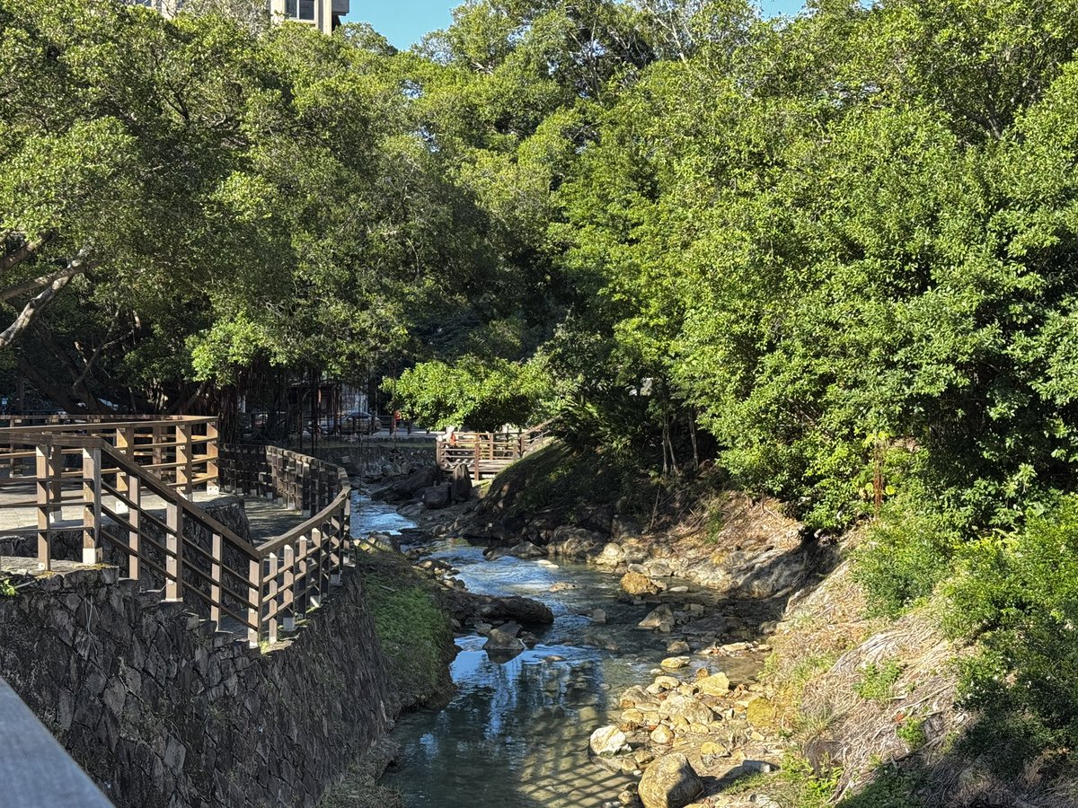 Dogs275's tweet image. 最終日は宿泊地の北投をフラフラ。
何度も通ってるけど飽きないな〜。