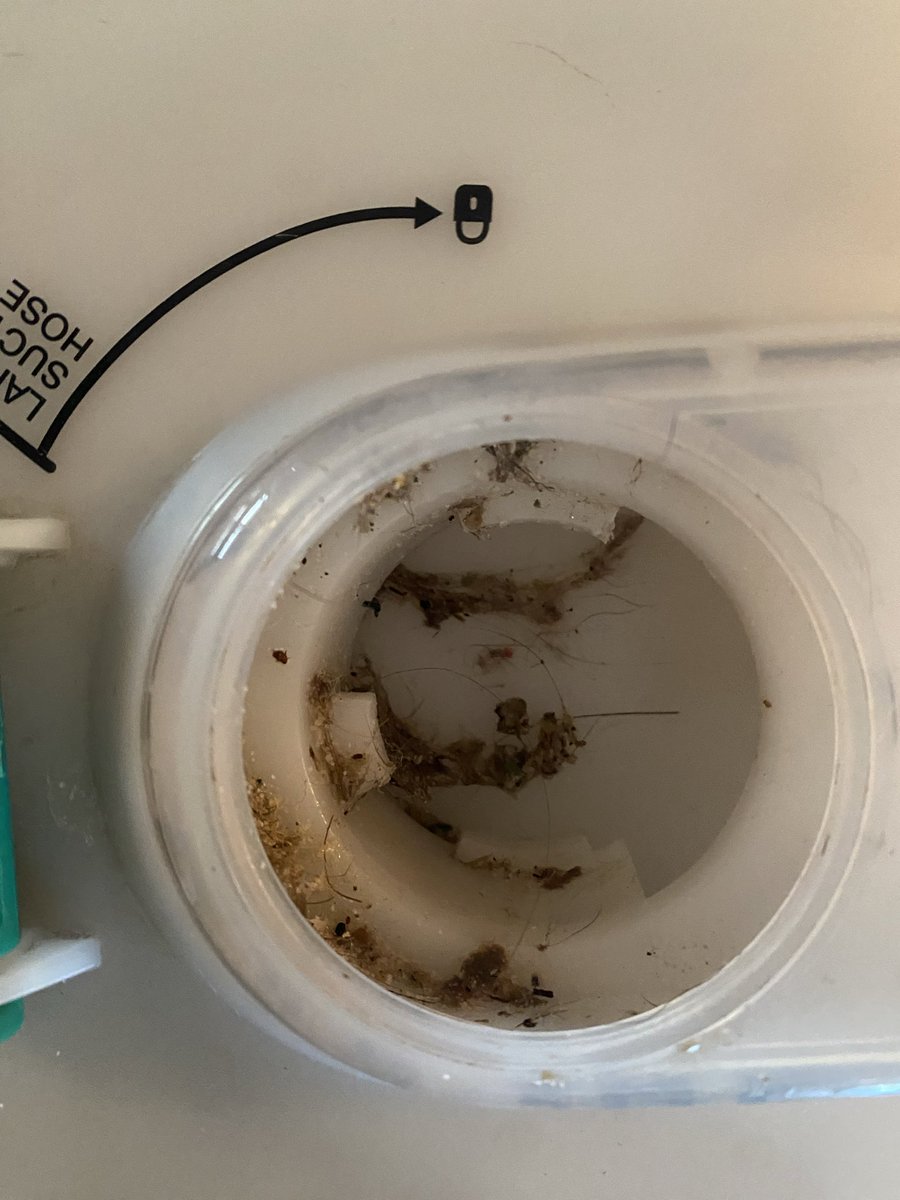 texas liz tweet media