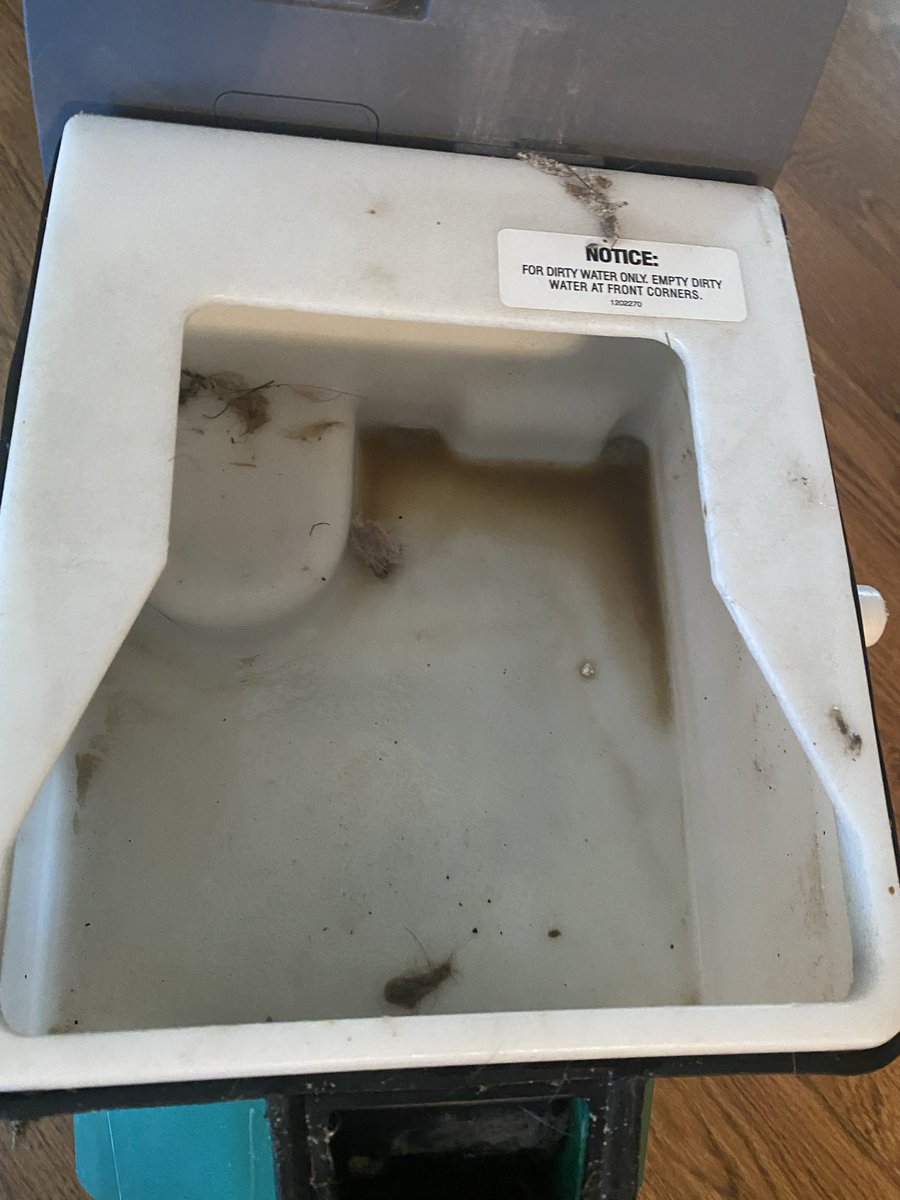 texas liz tweet media