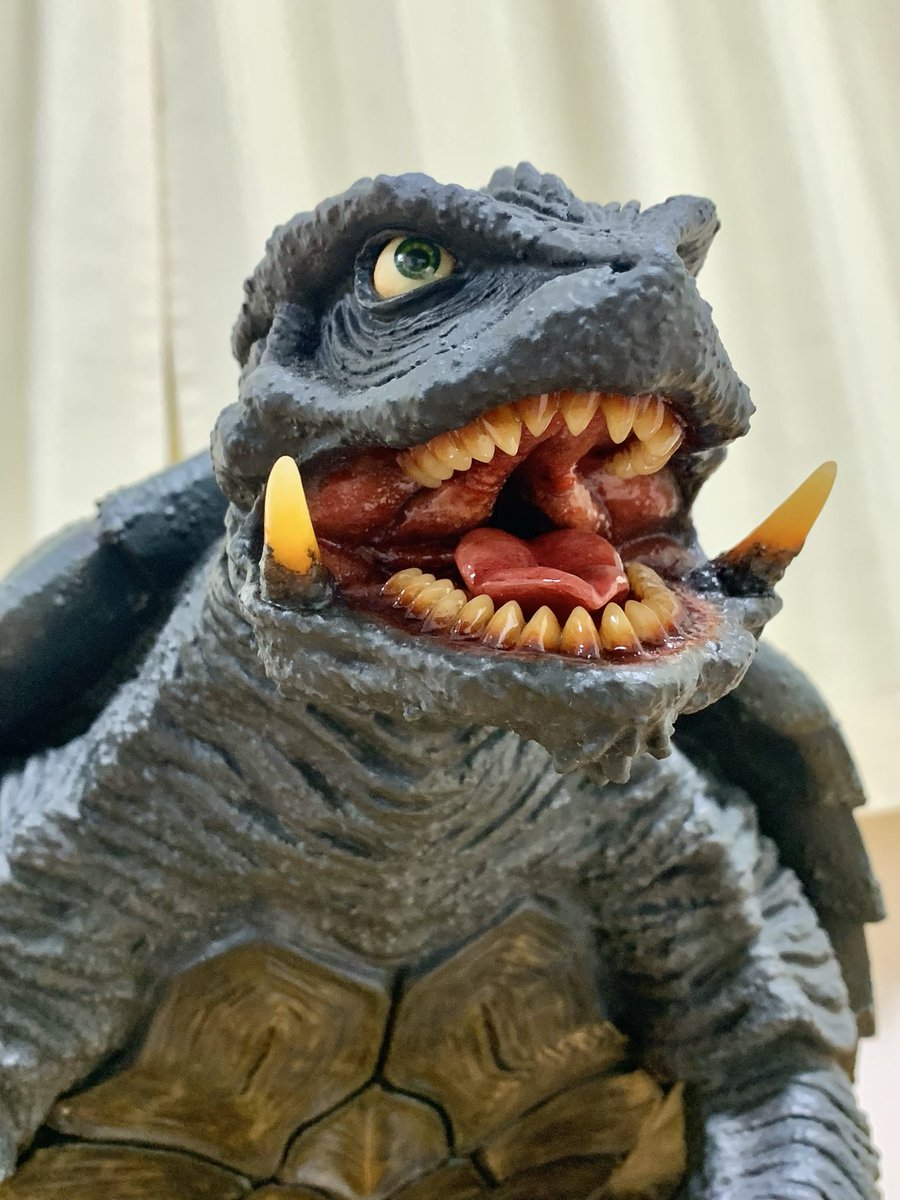 TOM (@Tom510h312k) / Posts / X