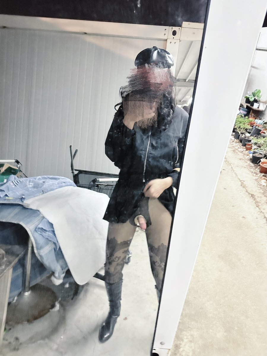 泠泠酱 tweet media
