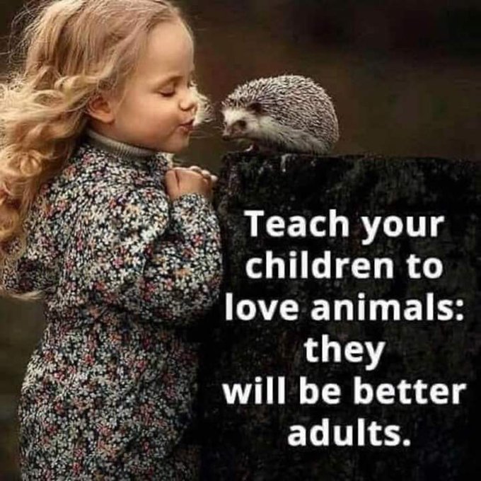 Ellie CG tweet media