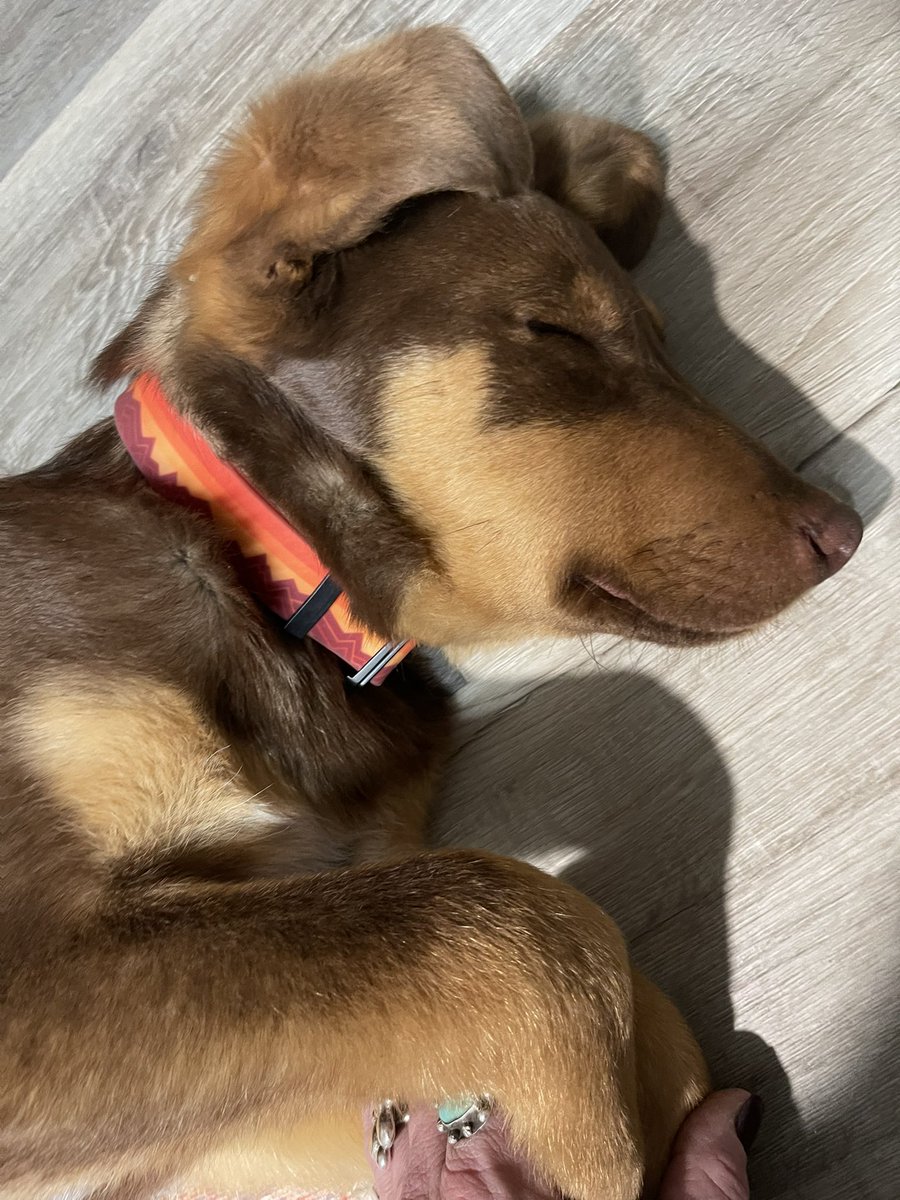 We rescued each other.