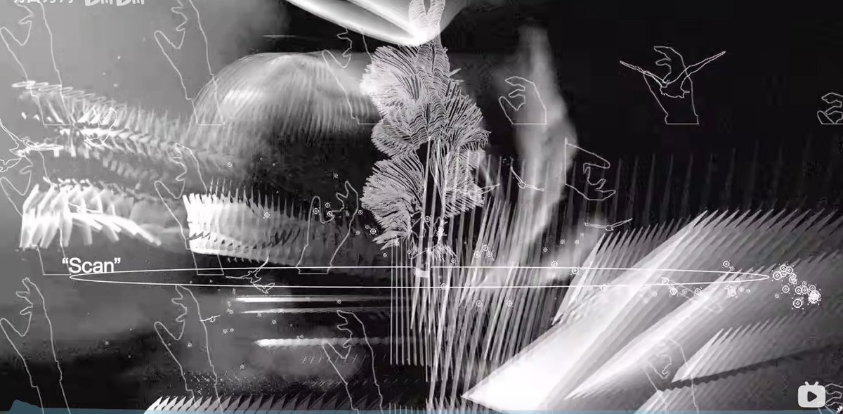 妹系厨_nichRabbit tweet media