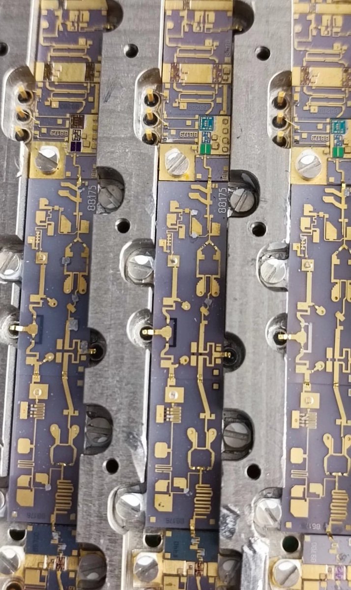 A. I. (Macro Photography)🔬 tweet media