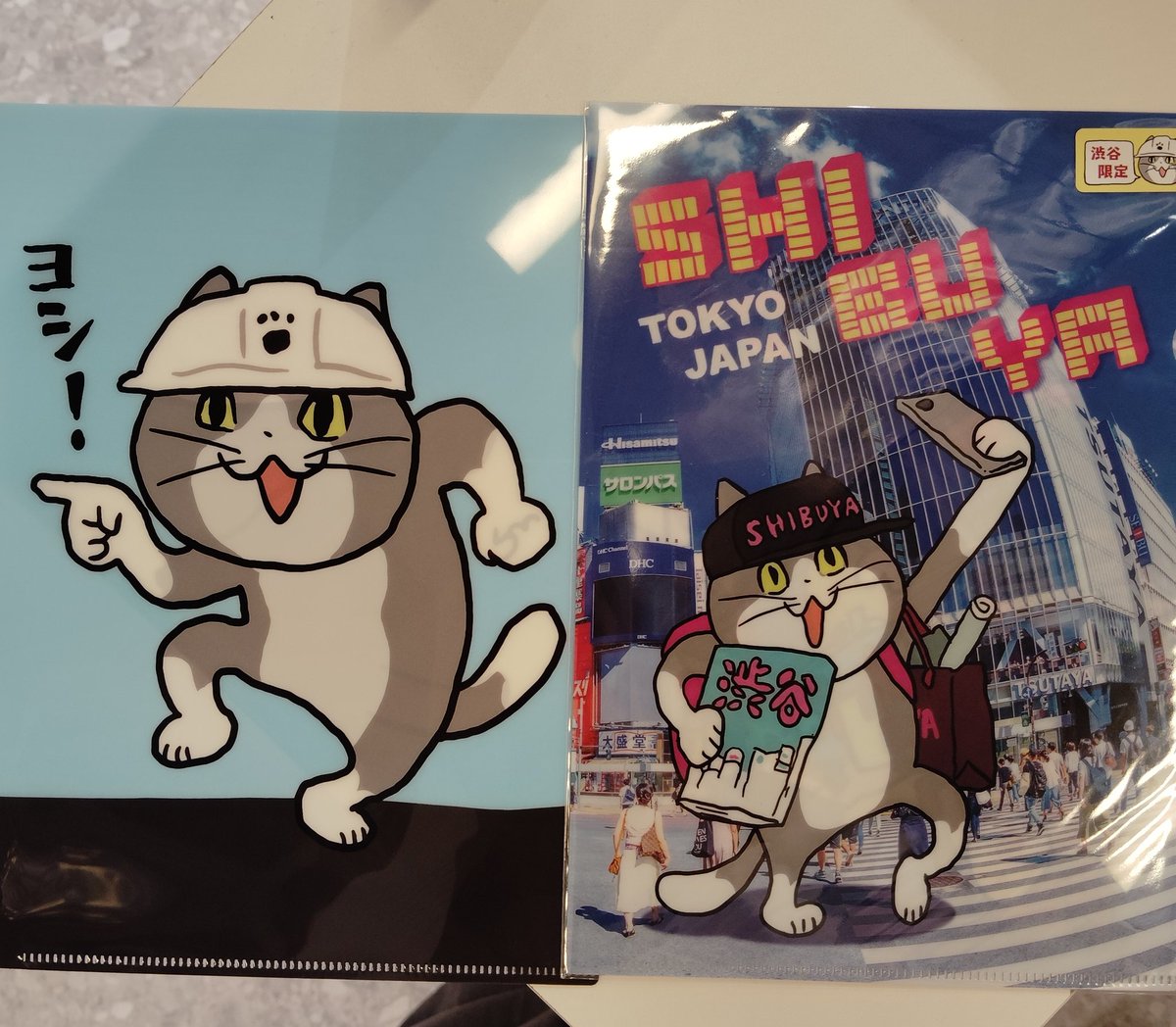 再入荷のお知らせ】 下記の商品が再入荷したのですよ〜🐱👉✨ A5クリア