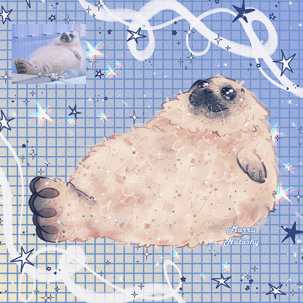 ⭐💙🦭
#sealtwt