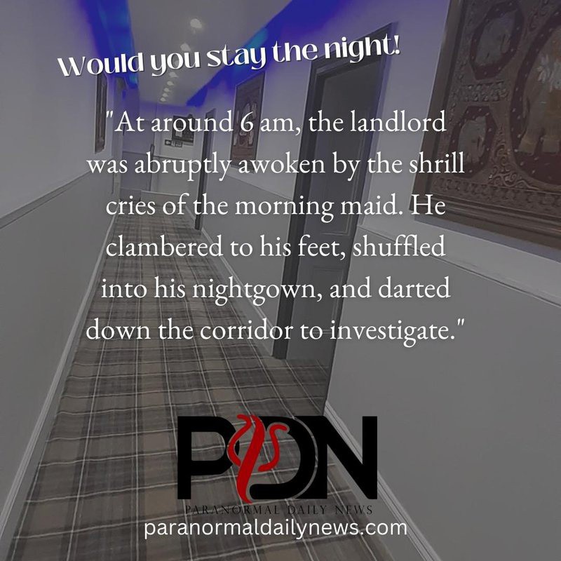 Jock Brocas tweet media