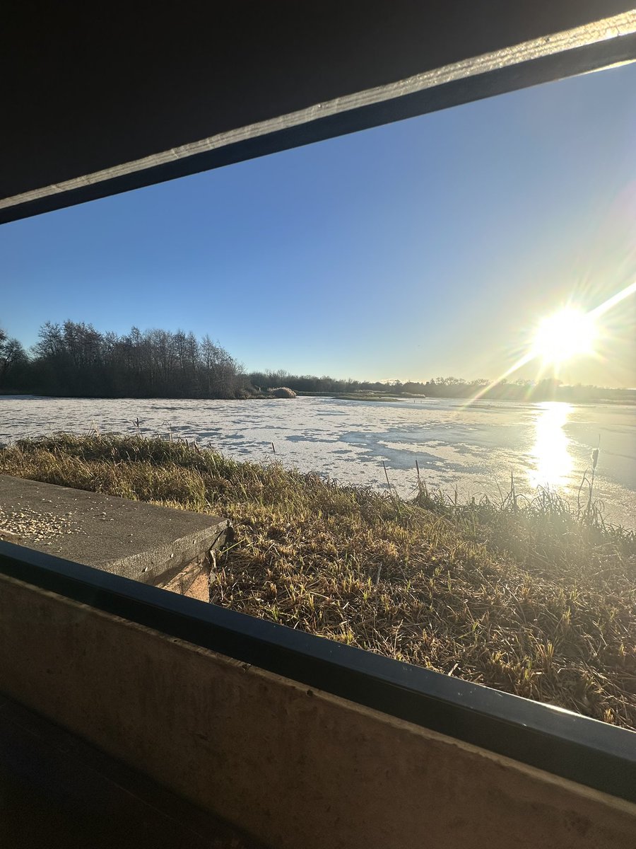 Went for a walk to clear my mind today, did it work? No. But it was absolutely beautiful. ☀️