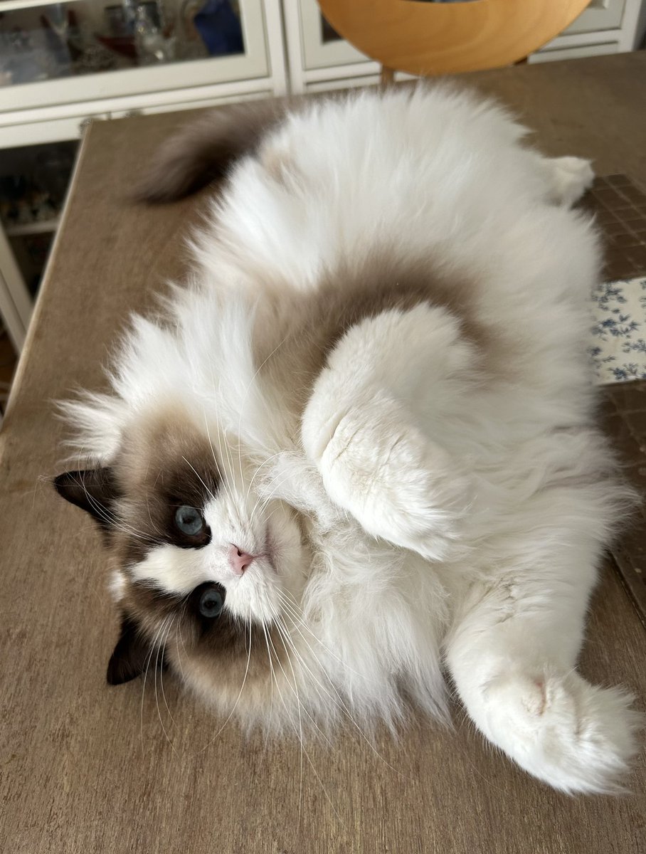 モッフモフ〜😻💕