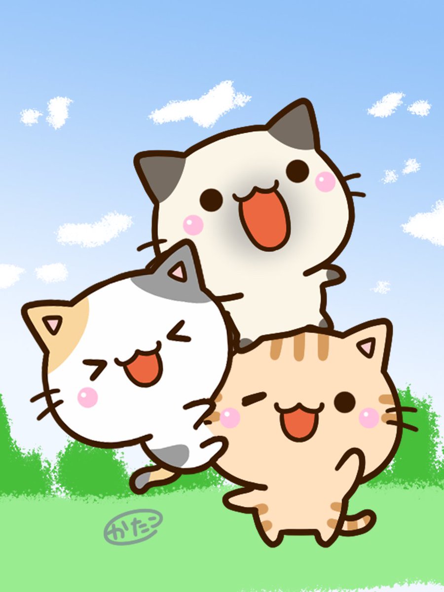 日差しが心地よい…🐱
#猫のいる暮らし