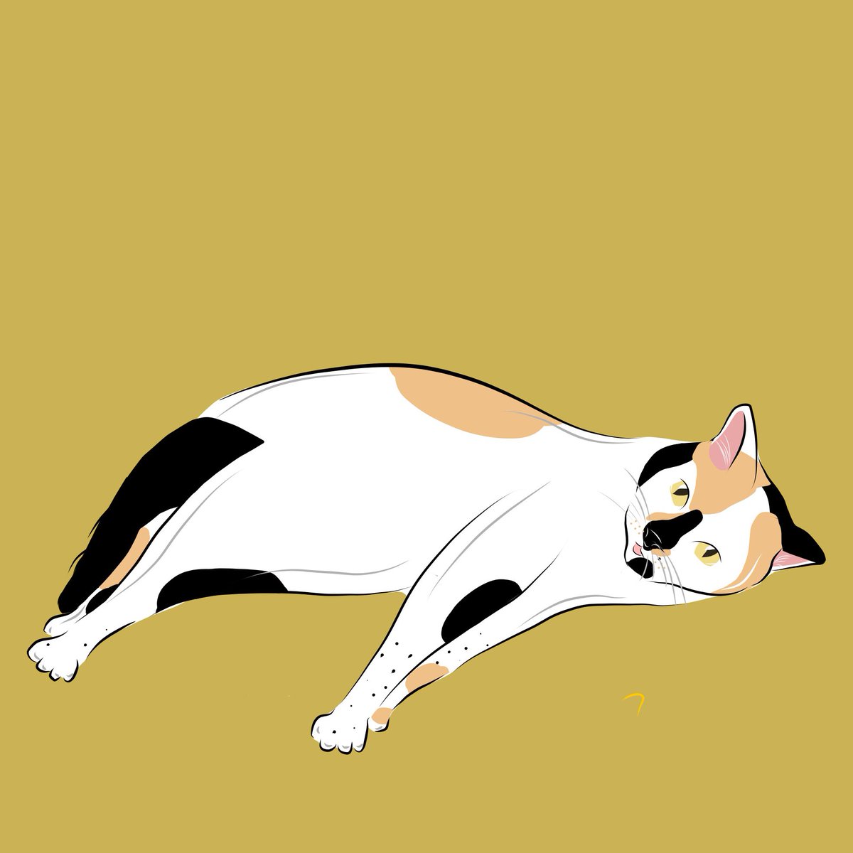 catto favo tweet media