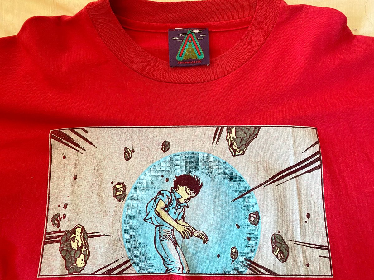 insane × ANARCHIC ADJUSTMENT 両A面仕様アートブック、念願の入手