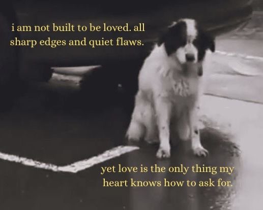 UnlicensedDoc_'s tweet image. 