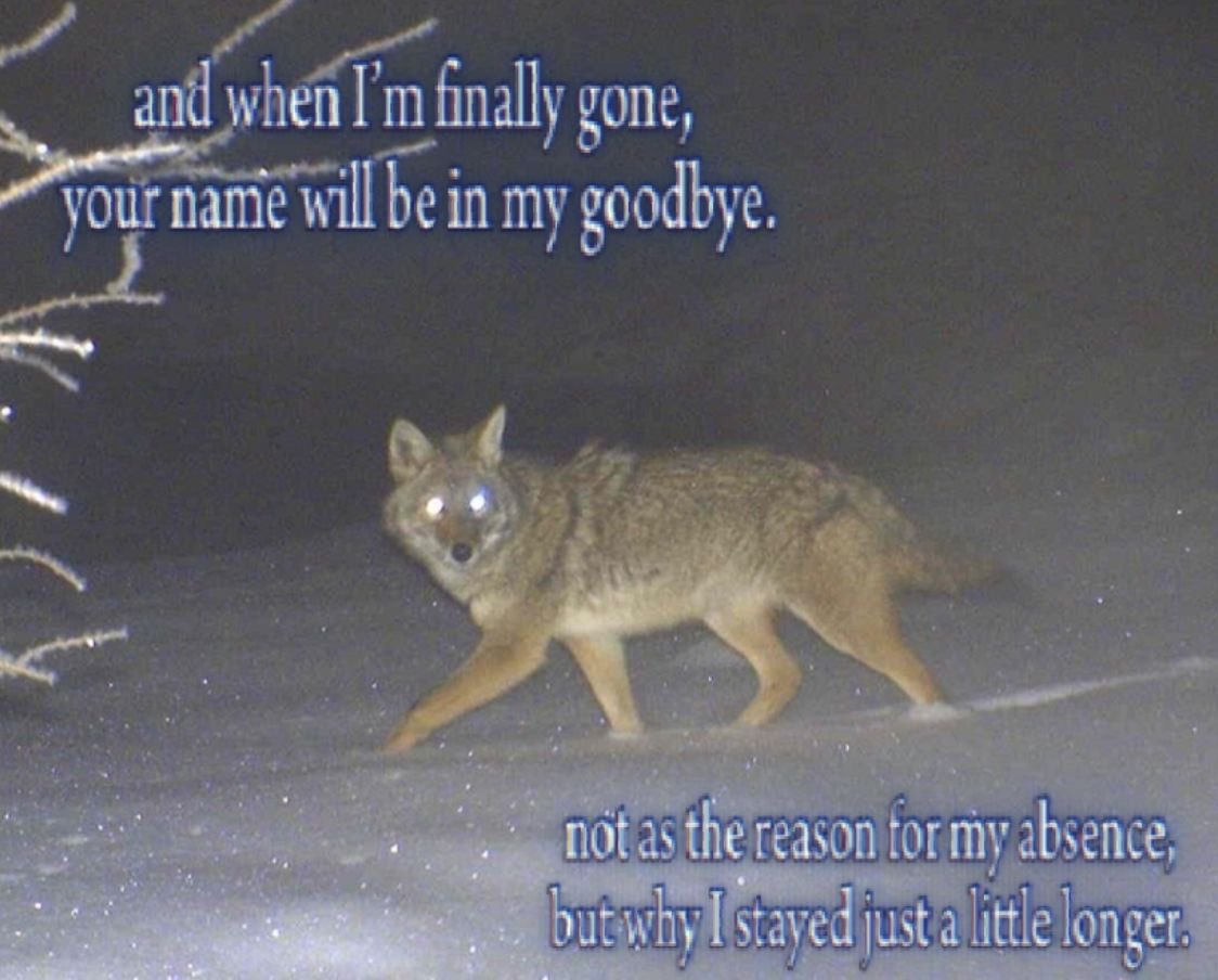 UnlicensedDoc_'s tweet image. 