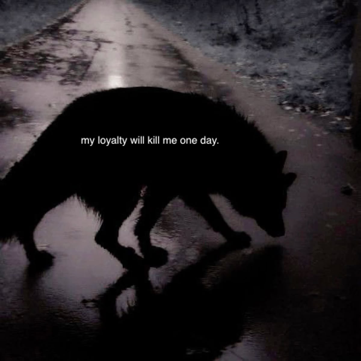 UnlicensedDoc_'s tweet image. 