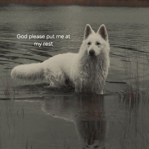 UnlicensedDoc_'s tweet image. 