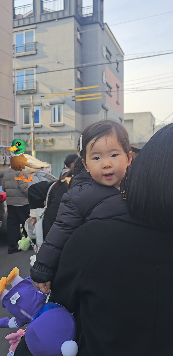 갔다... 빠빠이 해줬어요 😻