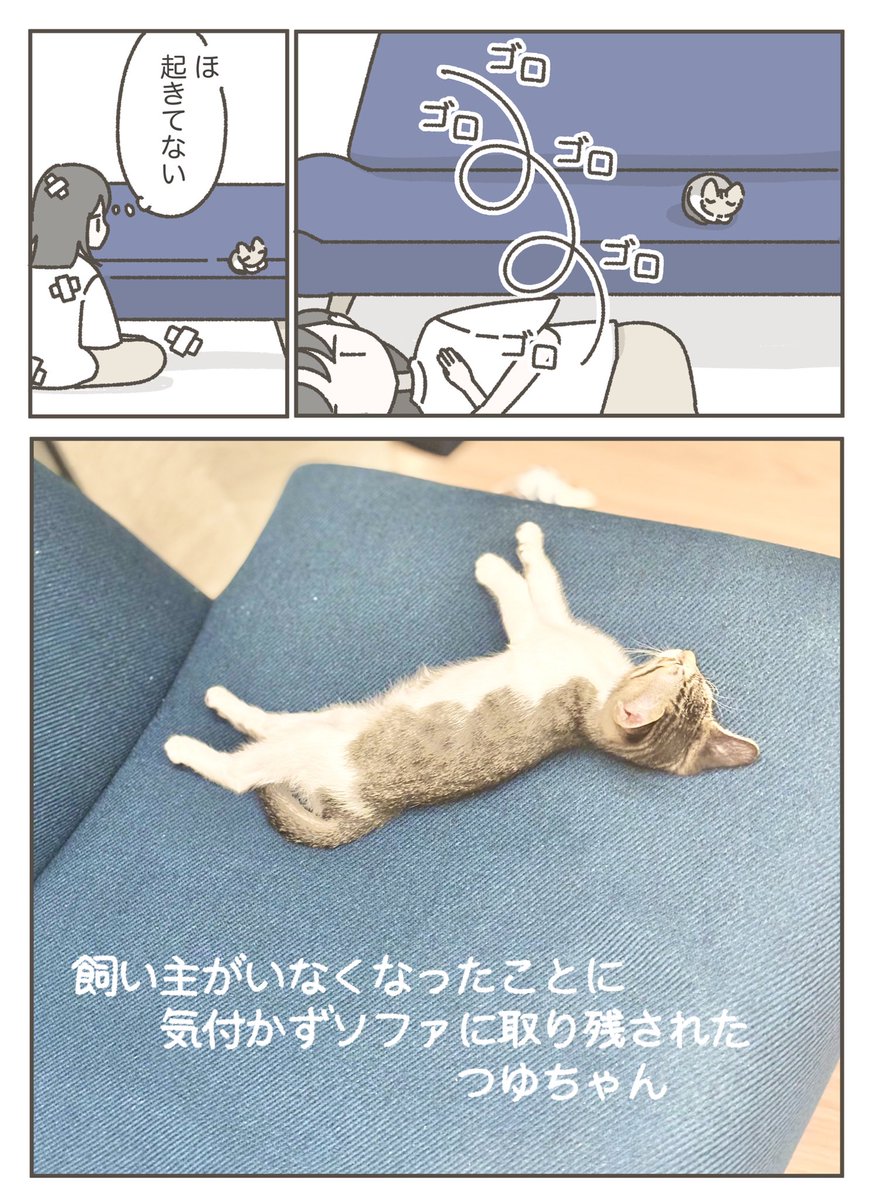 【3日目】忍者になる飼い主(4/10) 