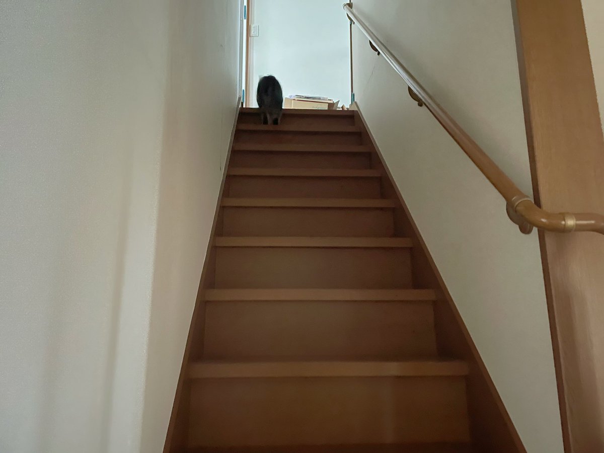 本当に本当に本当に辛かったから 振り返らなかったんでしょうね。