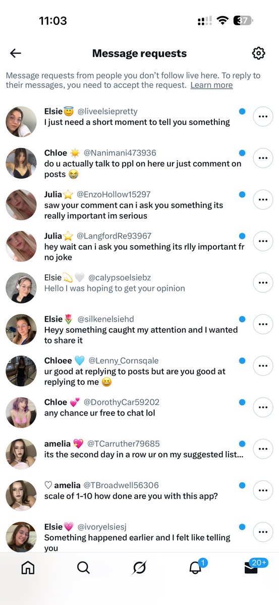 Lynn | Cum Laude | OPEN tweet media