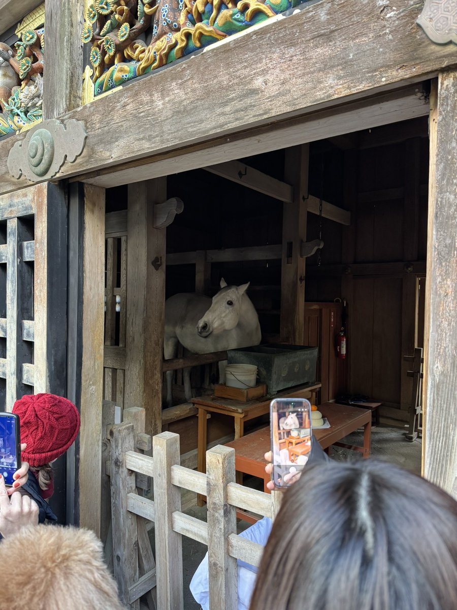 午年あつ🐴
金杯勝つぞー🔥