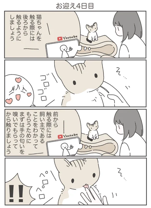 【4日目】キャーーーーーーー‼︎‼︎‼︎(8/10) 
